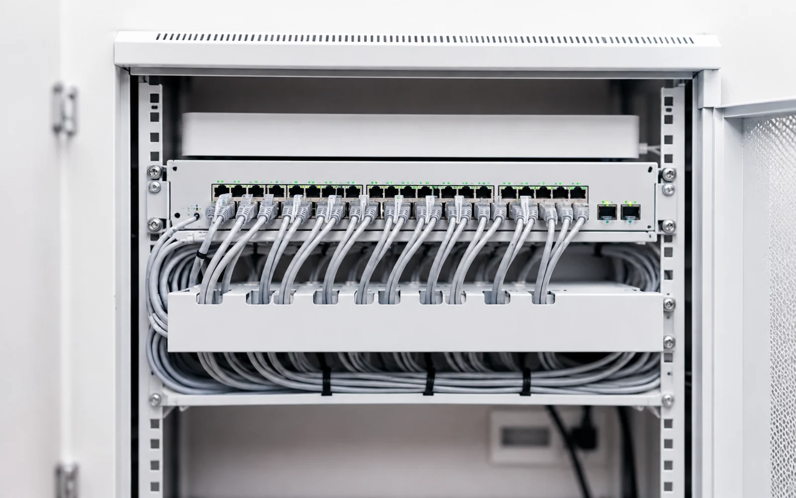 IP & Network Camera Systems — Focus Vision